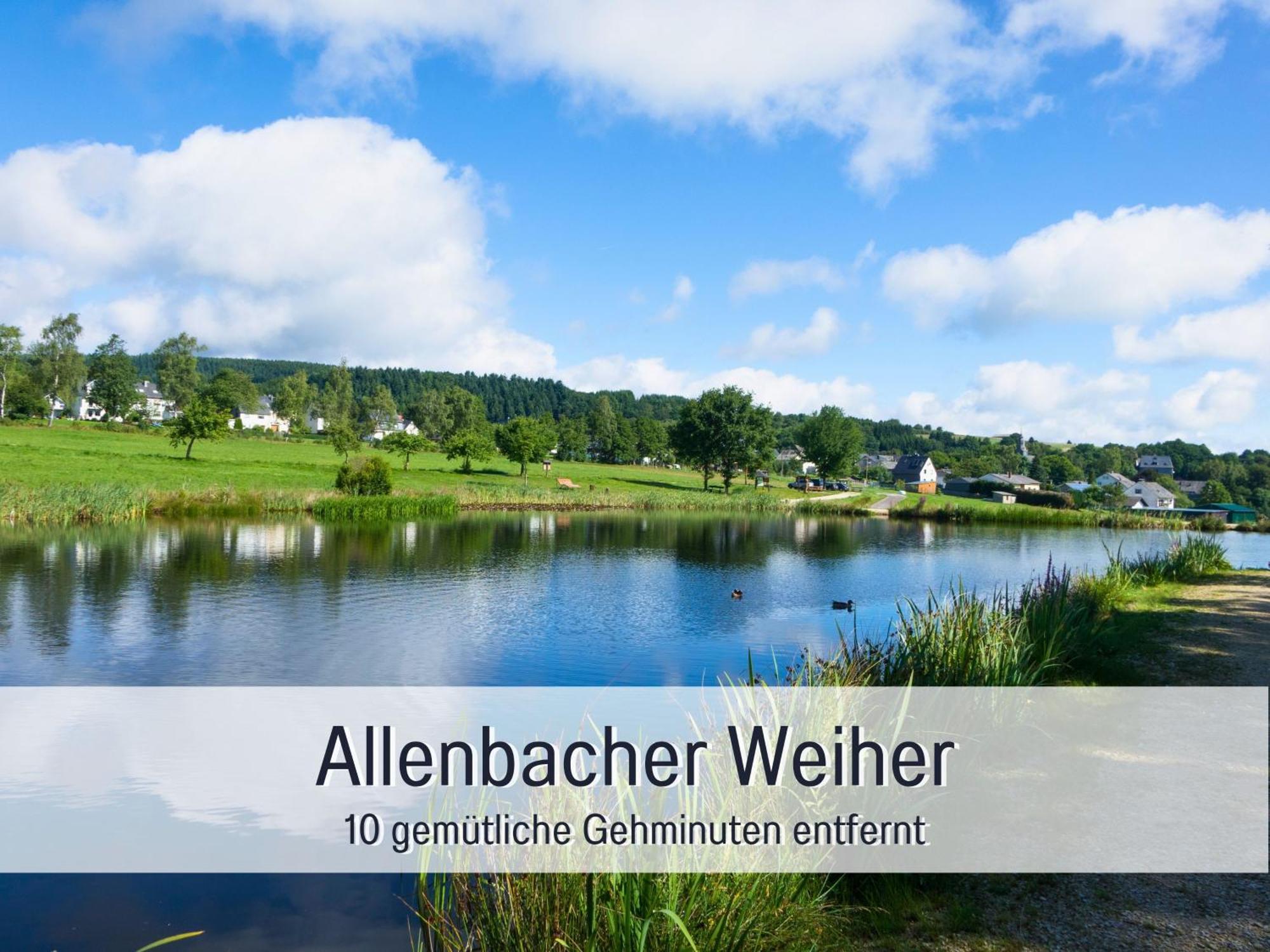 Natur-Chalet Zum Nationalpark Marie-Luise Inkl E-Auto Allenbach Екстер'єр фото