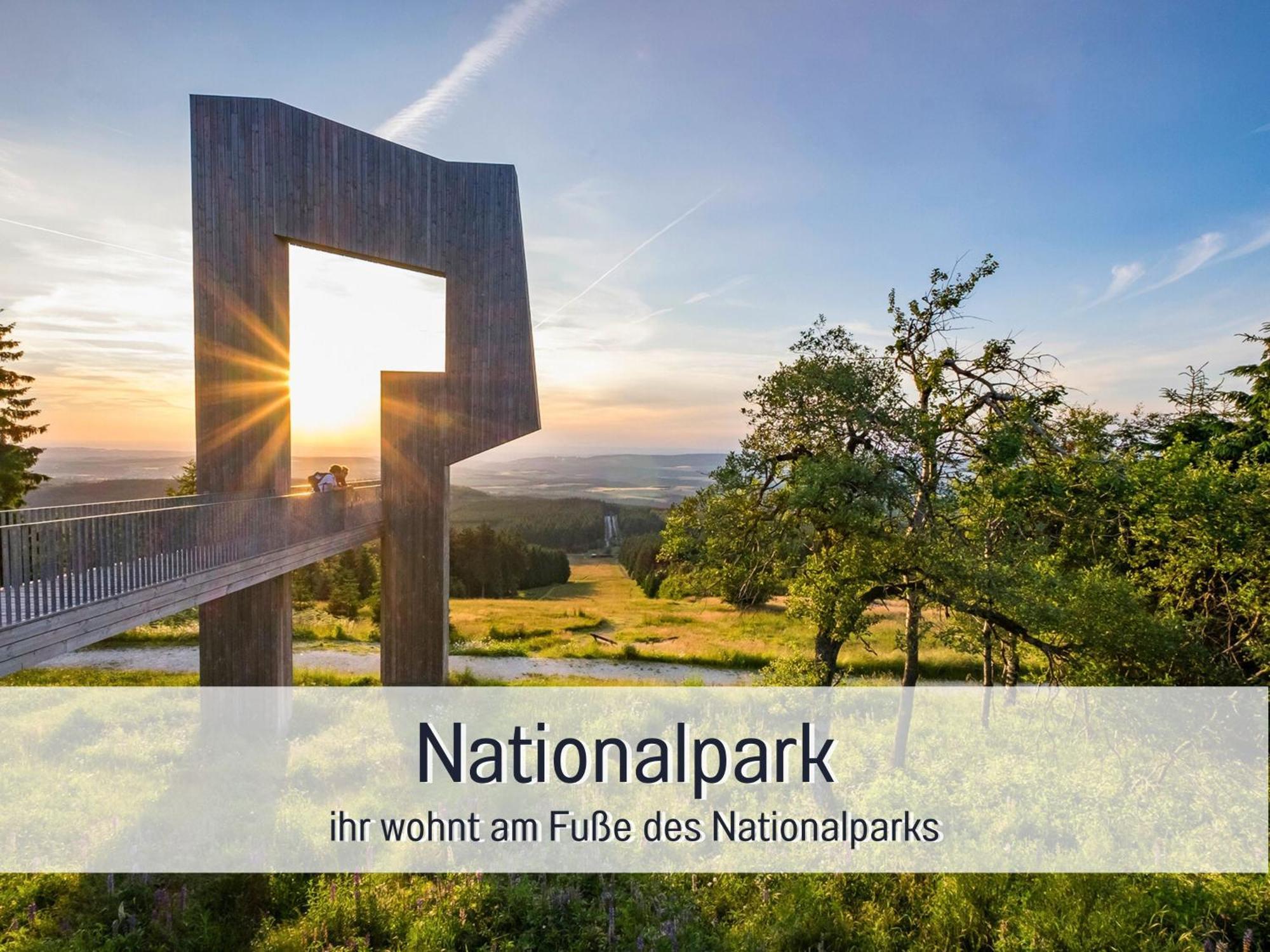 Natur-Chalet Zum Nationalpark Marie-Luise Inkl E-Auto Allenbach Екстер'єр фото