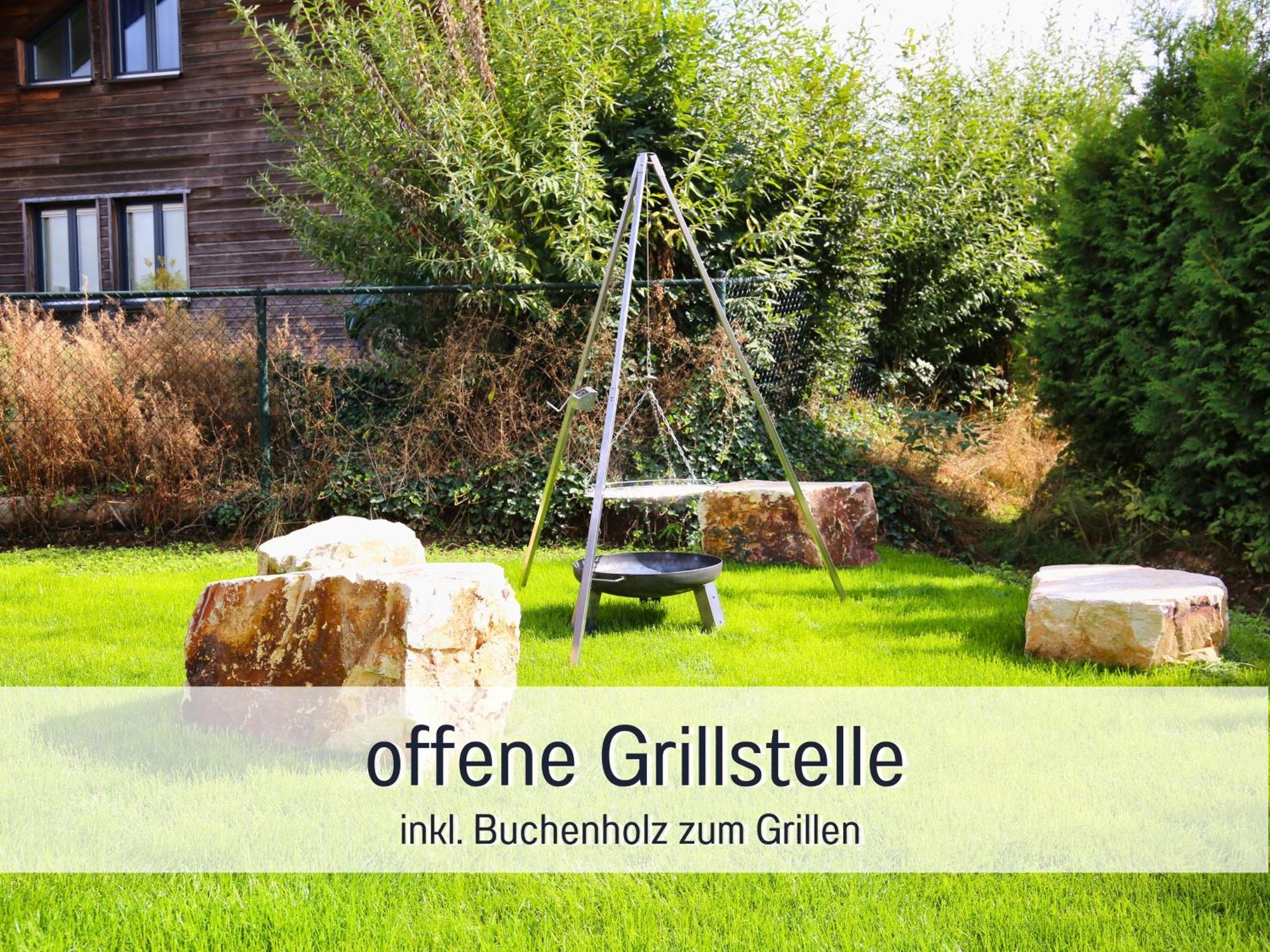 Natur-Chalet Zum Nationalpark Marie-Luise Inkl E-Auto Allenbach Екстер'єр фото